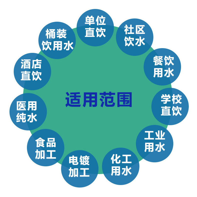 2t/h雙極反滲透水處理設備(圖1)